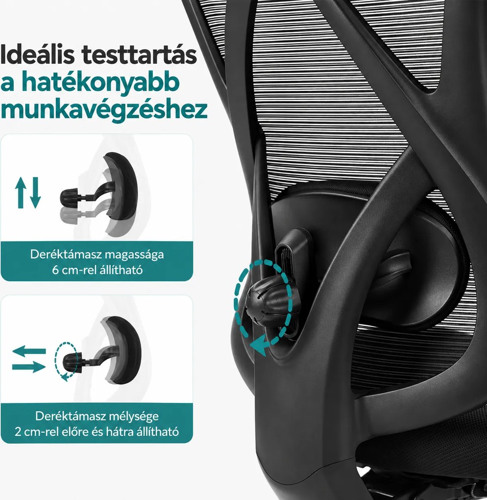 Irodai szék, hálós szék, állítható deréktámasz és fejtámla, fekete