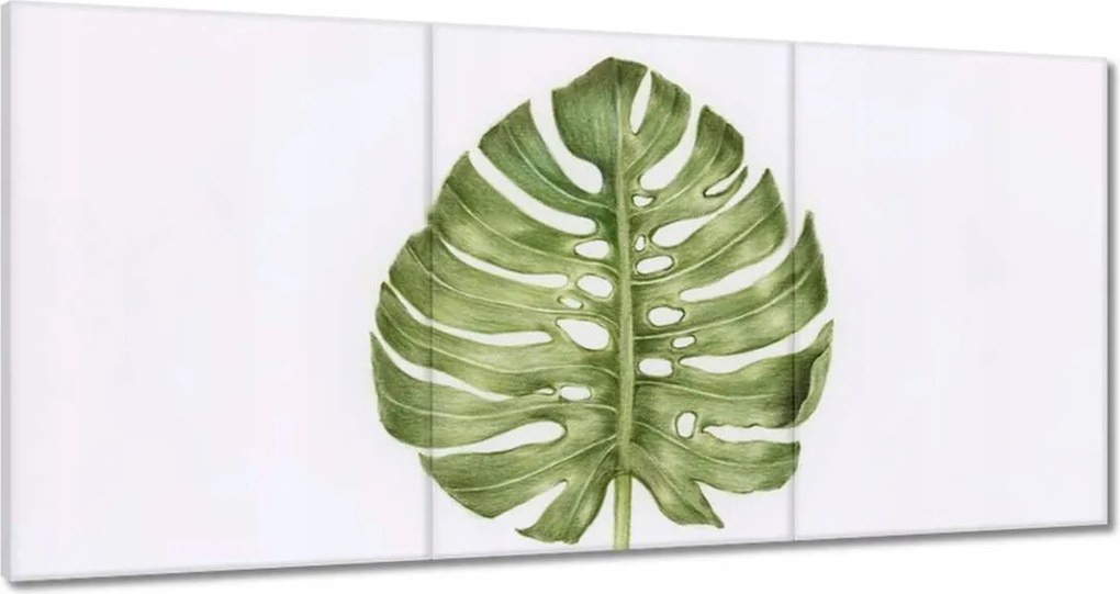 Vászonkép 120x60 Monsera levél lyukas