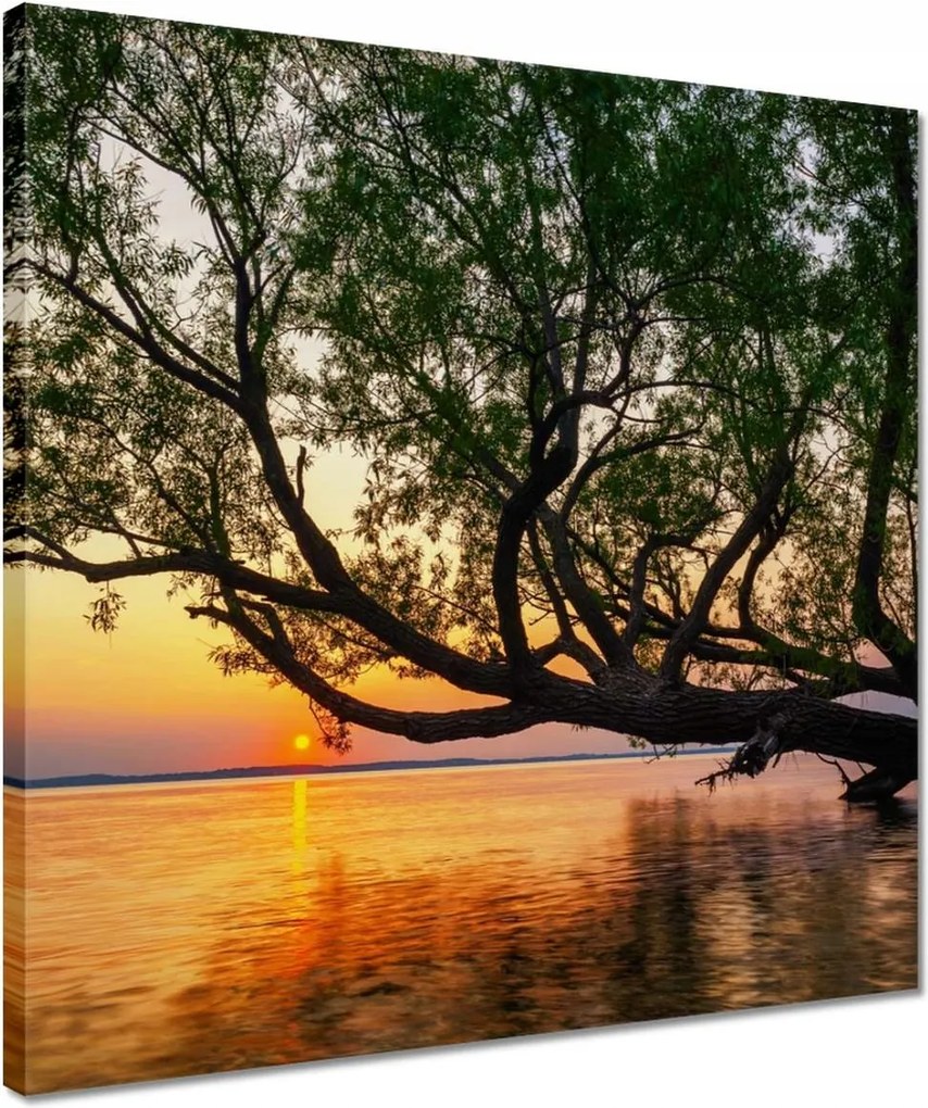 Vászonkép 40x40 Fa Levelek Tó