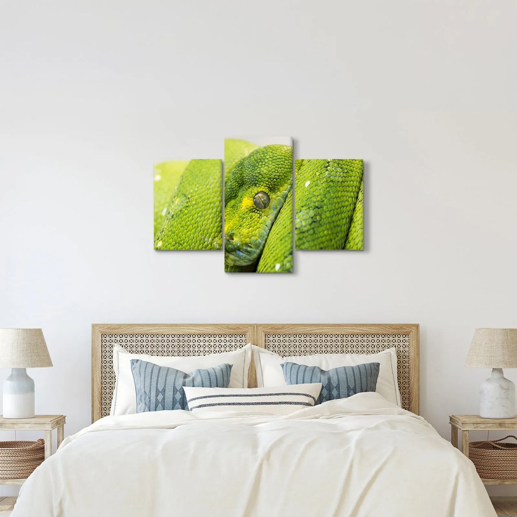 Kígyó képe (90x60 cm)