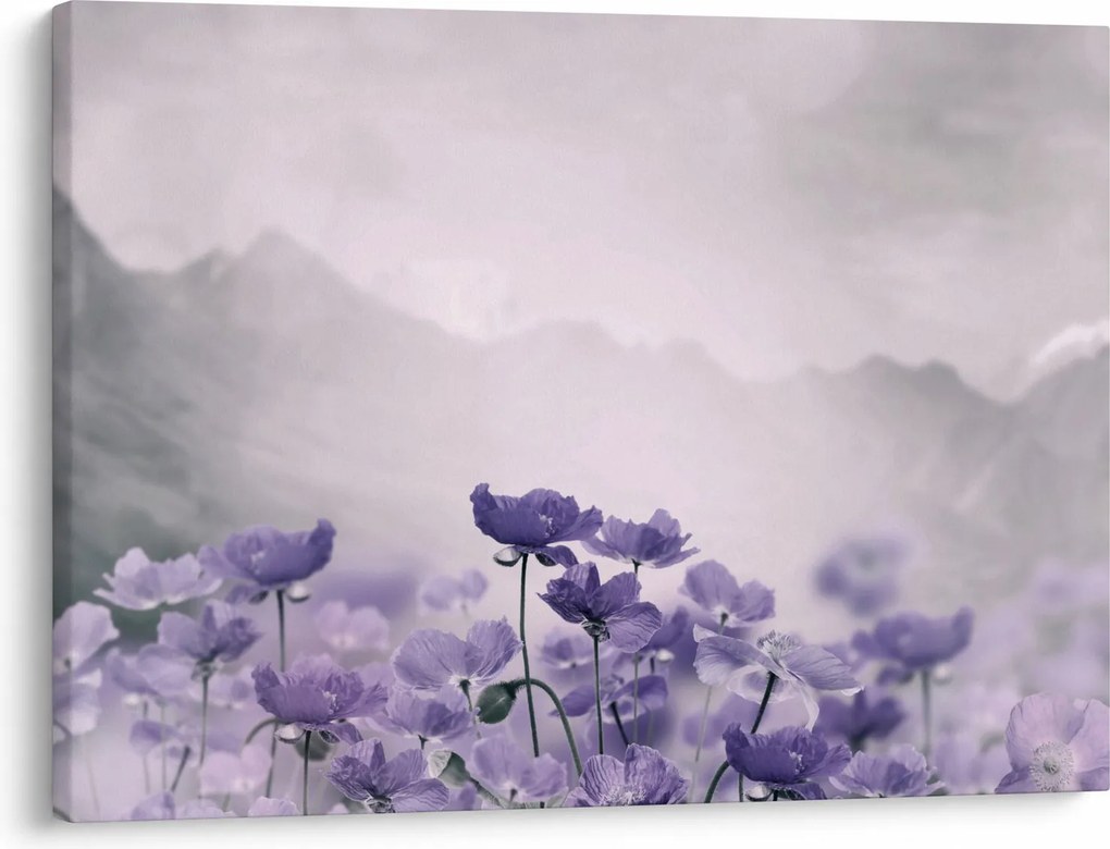 Kép - Lila virágok a hegyekben (70x50 cm)