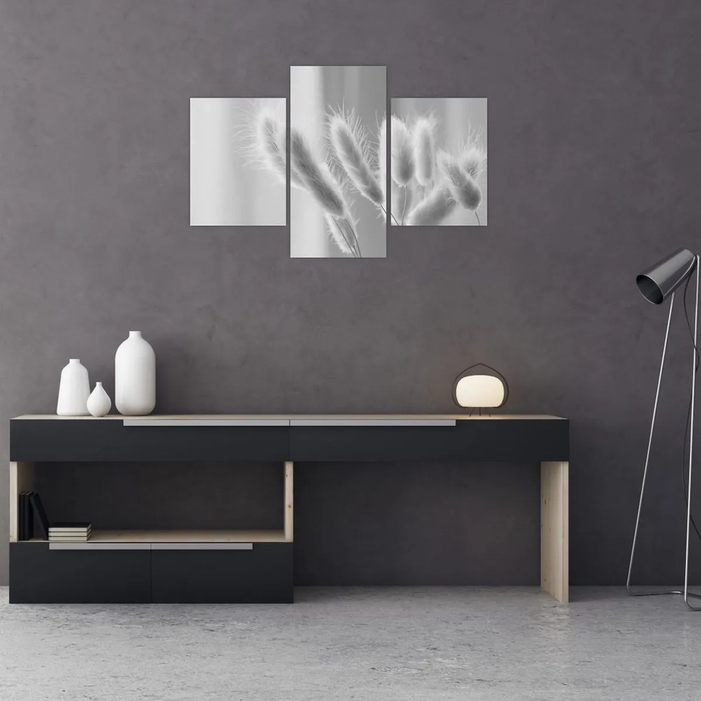 Kép - Nyuszi farok fű (90x60 cm)