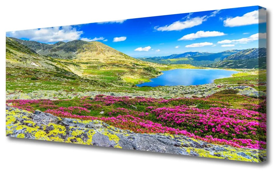 Vászonkép nyomtatás Top Bay Mező Természet 100x50 cm