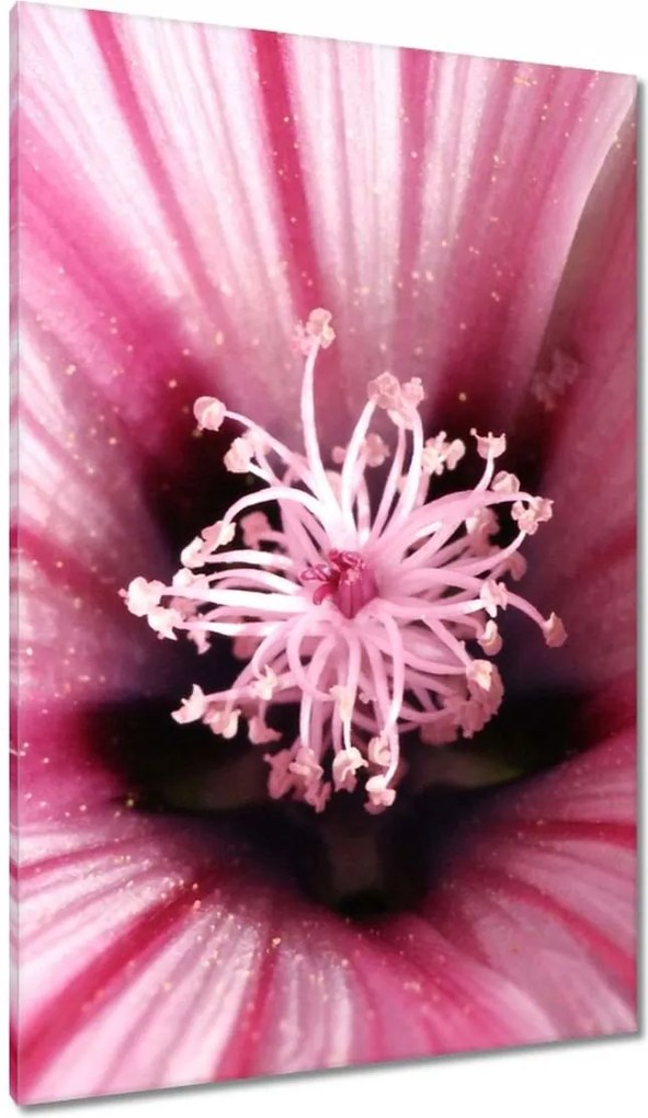 Vászonkép 80x120 Virágok