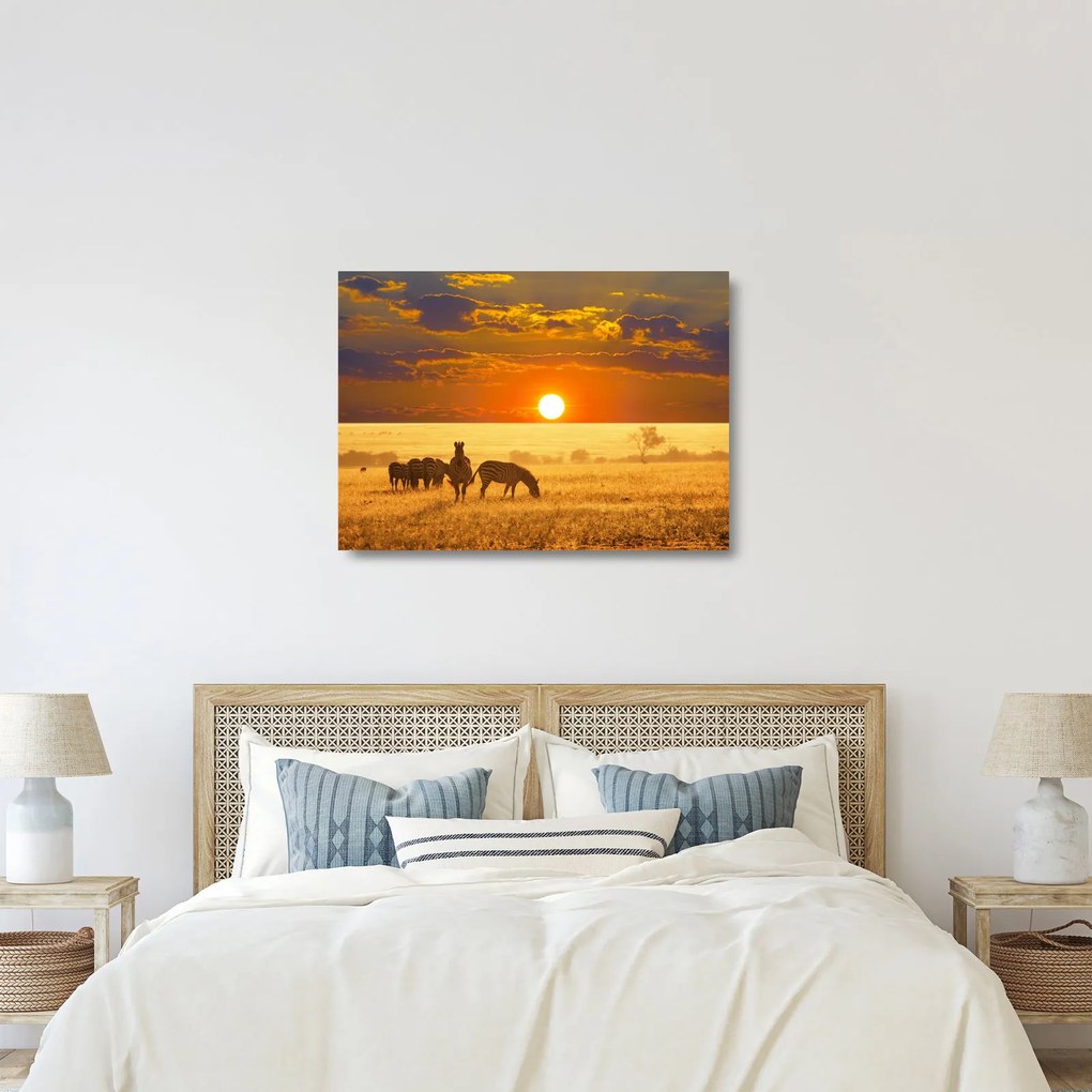 Üveg kép - Zebrák naplementével (70x50 cm)