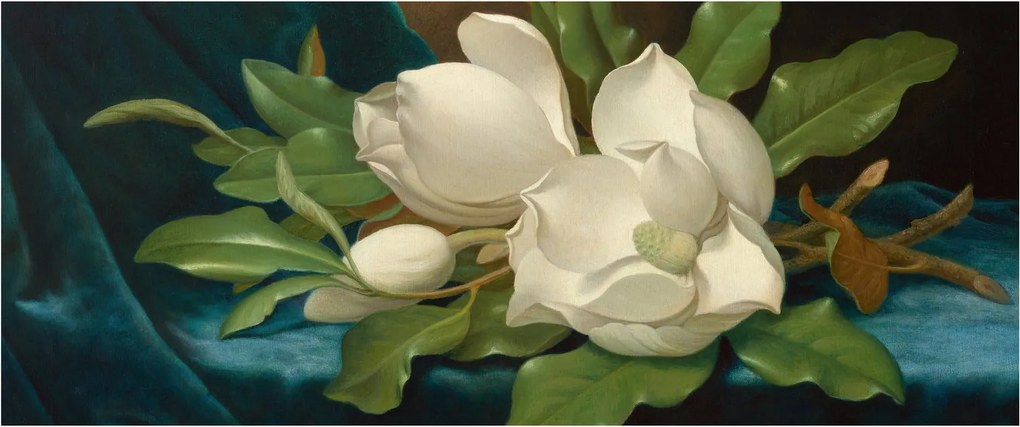 Kép - Martin Johnson Heade, Giant Magnolias on a Blue Velvet Cloth, reprodukciók (120x50 cm)