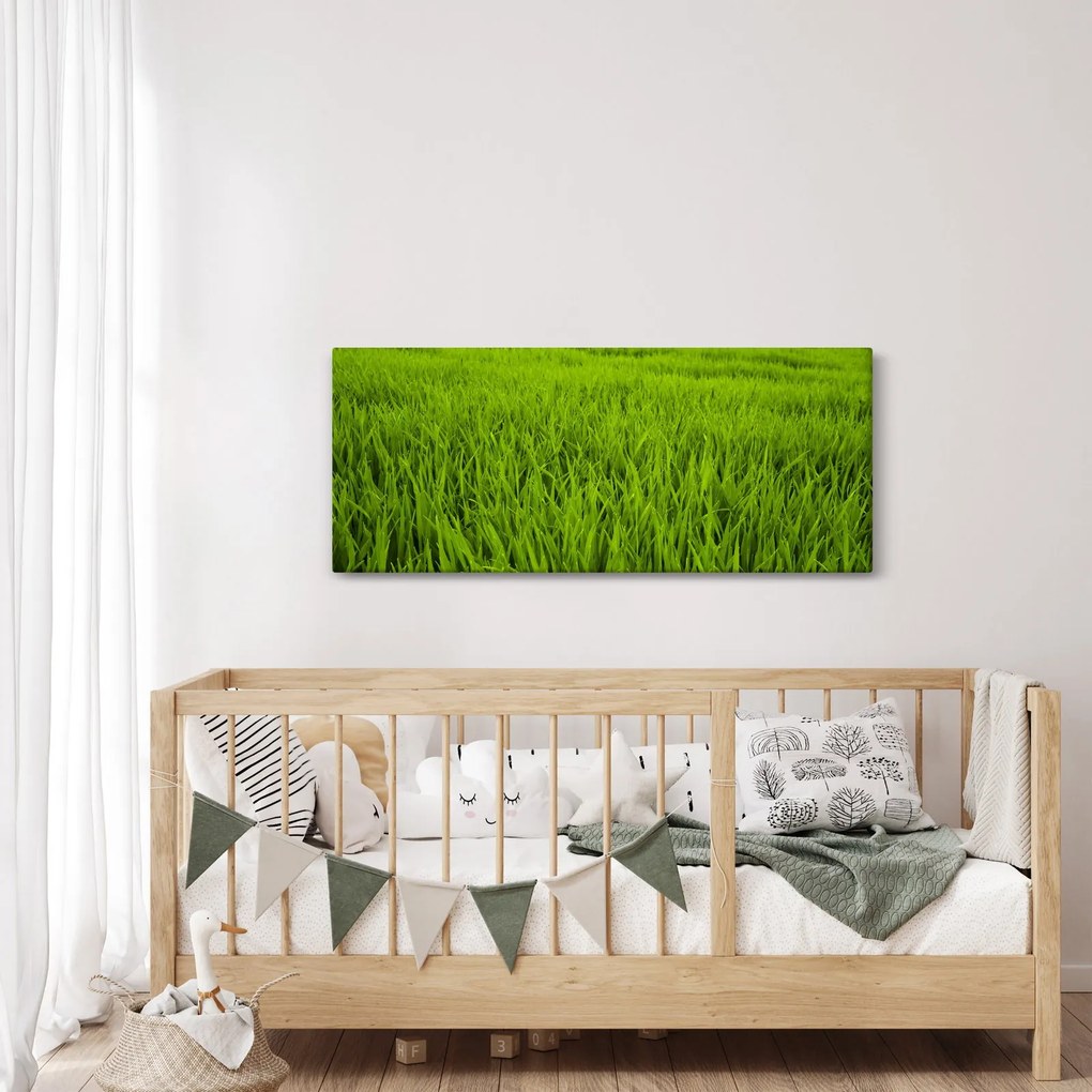 A fű képe (120x50 cm)