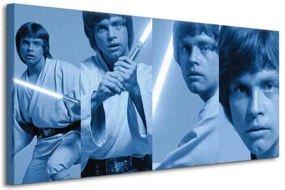 Vászonkép Star Wars (Luke Skywalker Pose) 100x50cm WDC93060