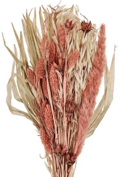 Eglo 428073 - Szárított virág CARAQUET 60 cm narancs