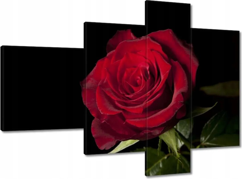 Vászonkép 100x70 Gyönyörű rózsa