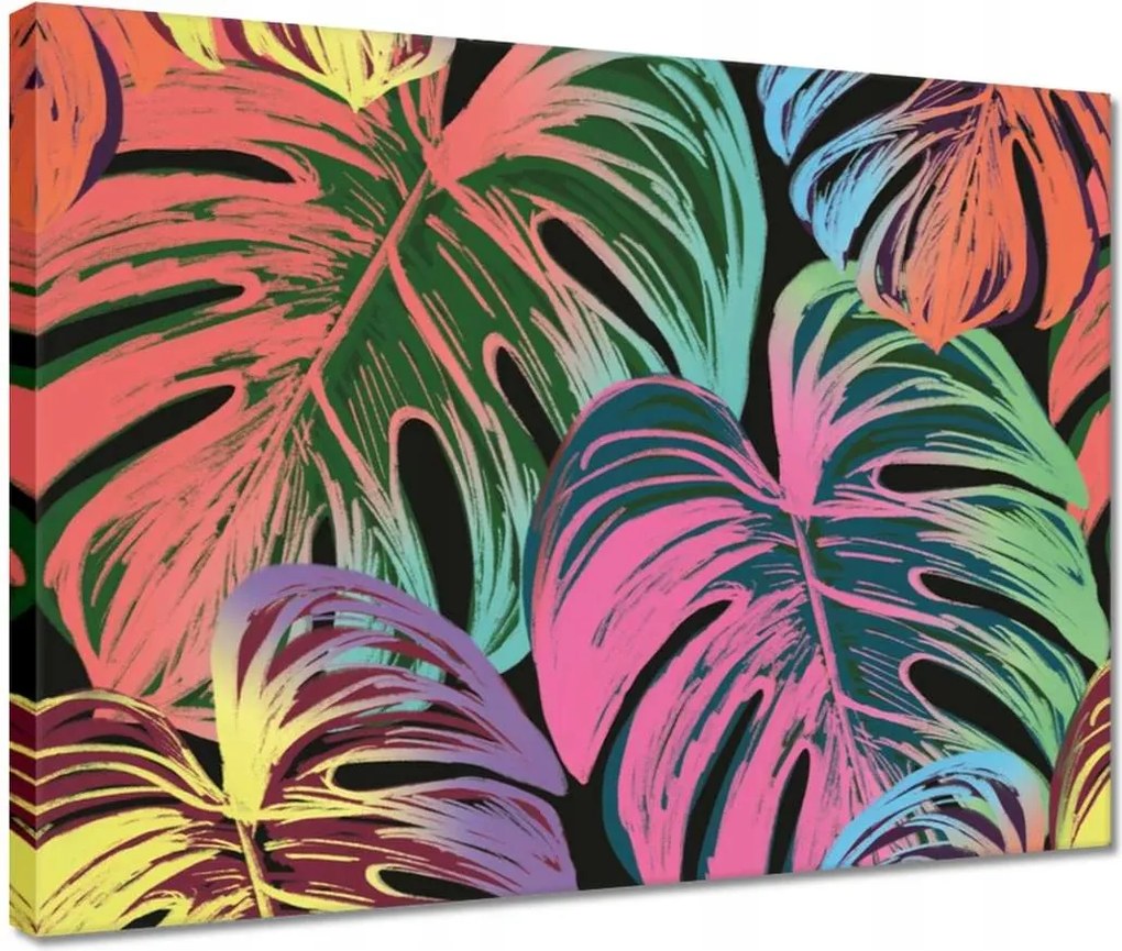Vászonkép 40x30 Monstera levél színben