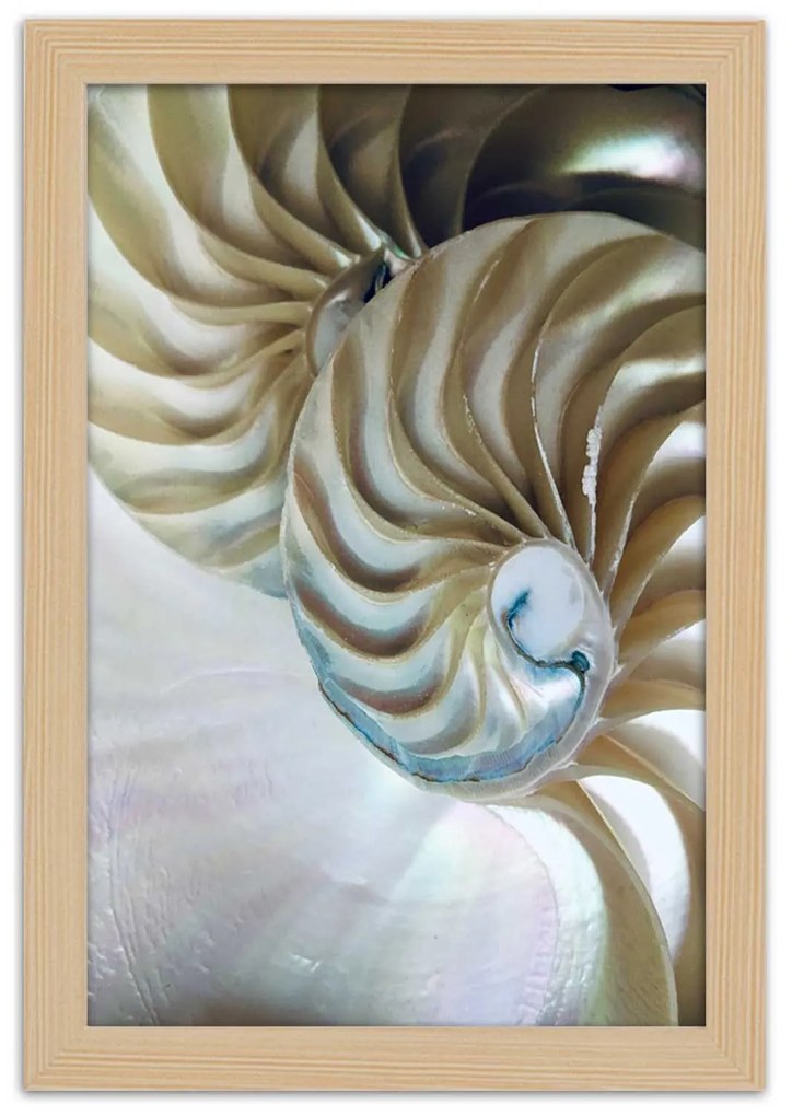 Gario Poszter Egy kagyló belseje A keret színe: Fekete, Méret: 70 x 100 cm