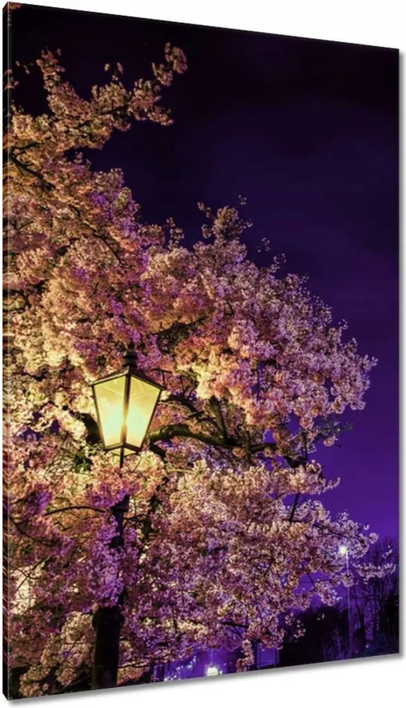 Vászonkép 80x120 Éjszakai motívum a nappaliba