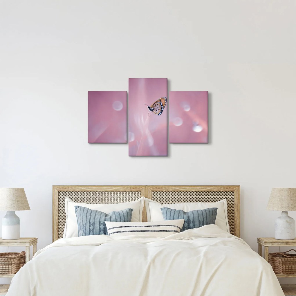 Kép - Pillangó (90x60 cm)