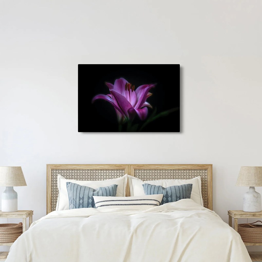A liliom képe (90x60 cm)
