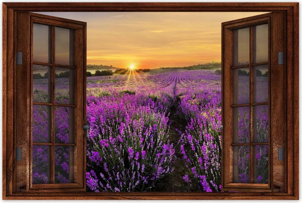 Poszterek 60x40 Levendula naplemente