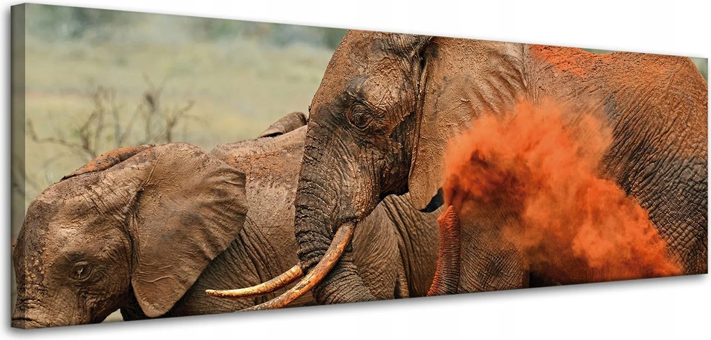 Vászonkép Elefánt pár Szavanna Afrika Természet 120x40 cm