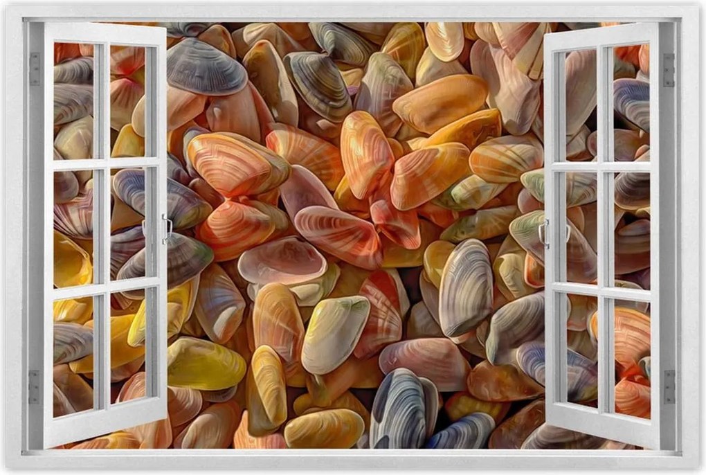 Poszterek 90x60 Színes kagylók nyomtatás