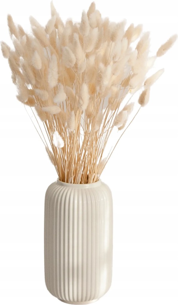 Lagurus Tojásfúvóka fehér csokor 40db-os aszalvány