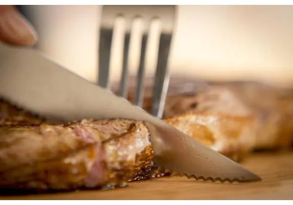 Tefal - 4 darabos rozsdamentes acél steakkés készlet ICE FORCE 11 cm, króm/fekete