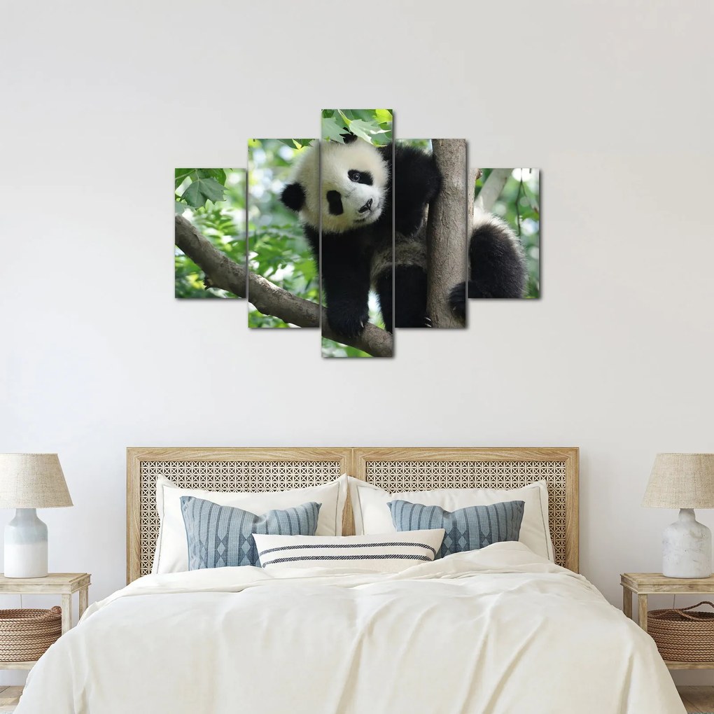 Kép - Panda a fán (150x105 cm)