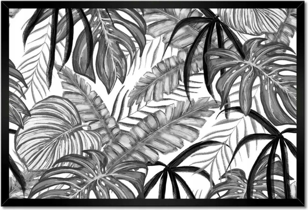 Poszter keretben 60x40 Monstera Zöld levél