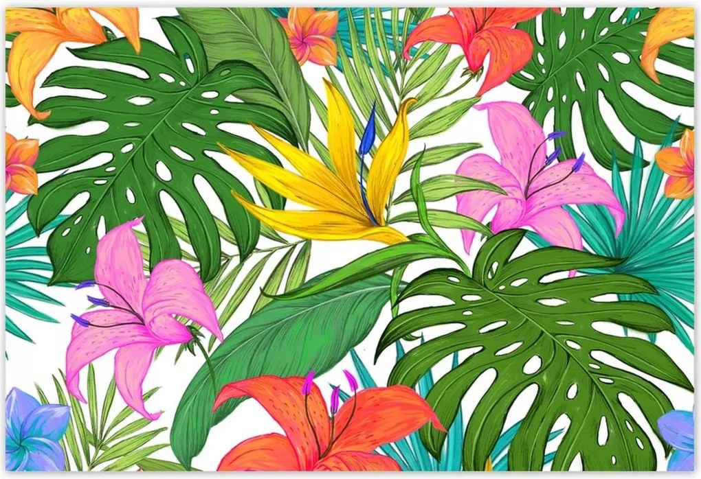 Poszterek 200x135 Trópusi levelek Leaves