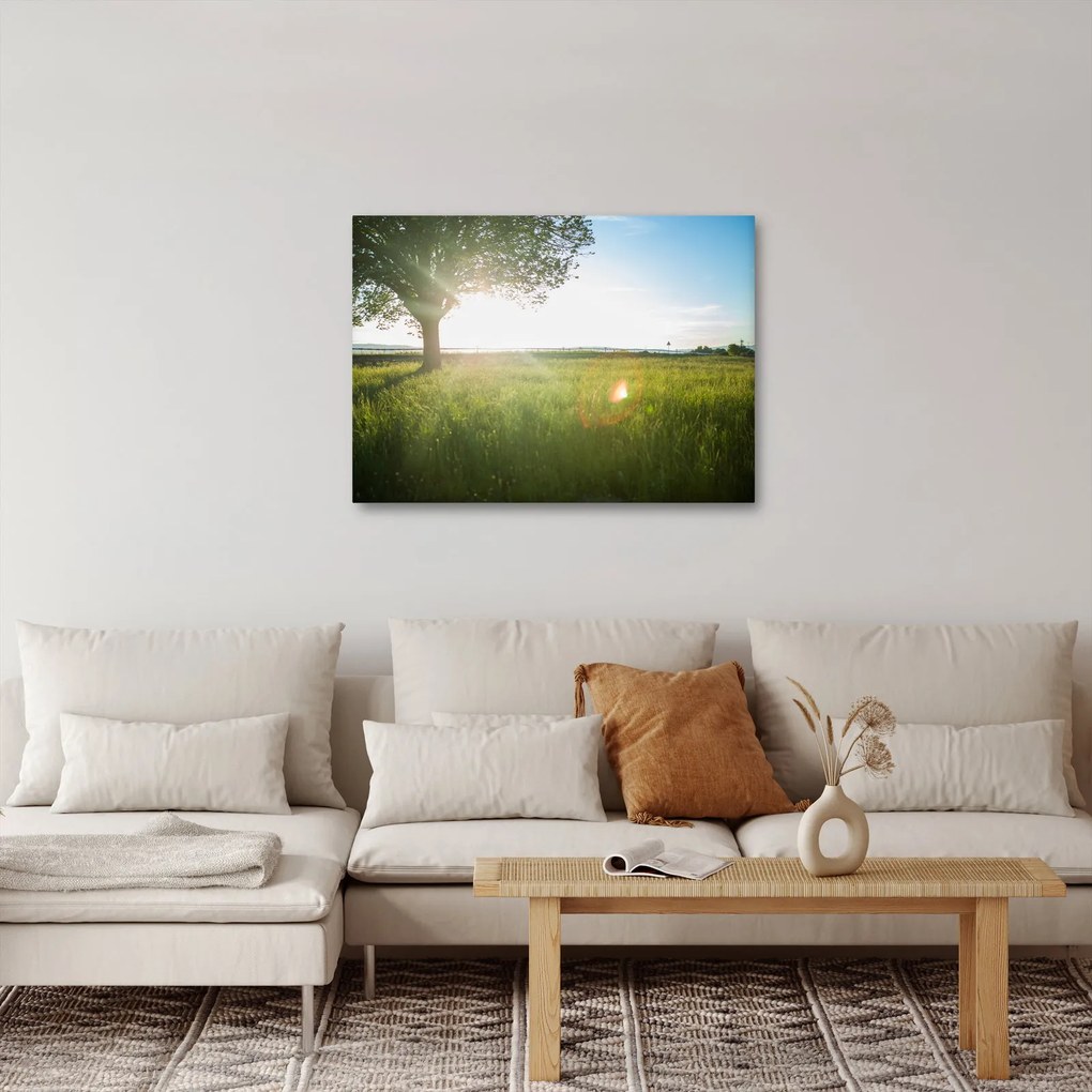 Egy fa képe a mezőn (70x50 cm)