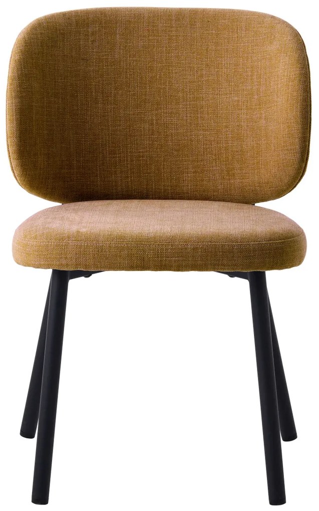 Swan design szék