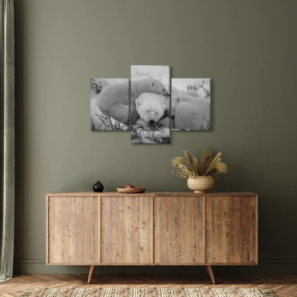 Kép - Jegesmedvék, fekete-fehér (90x60 cm)