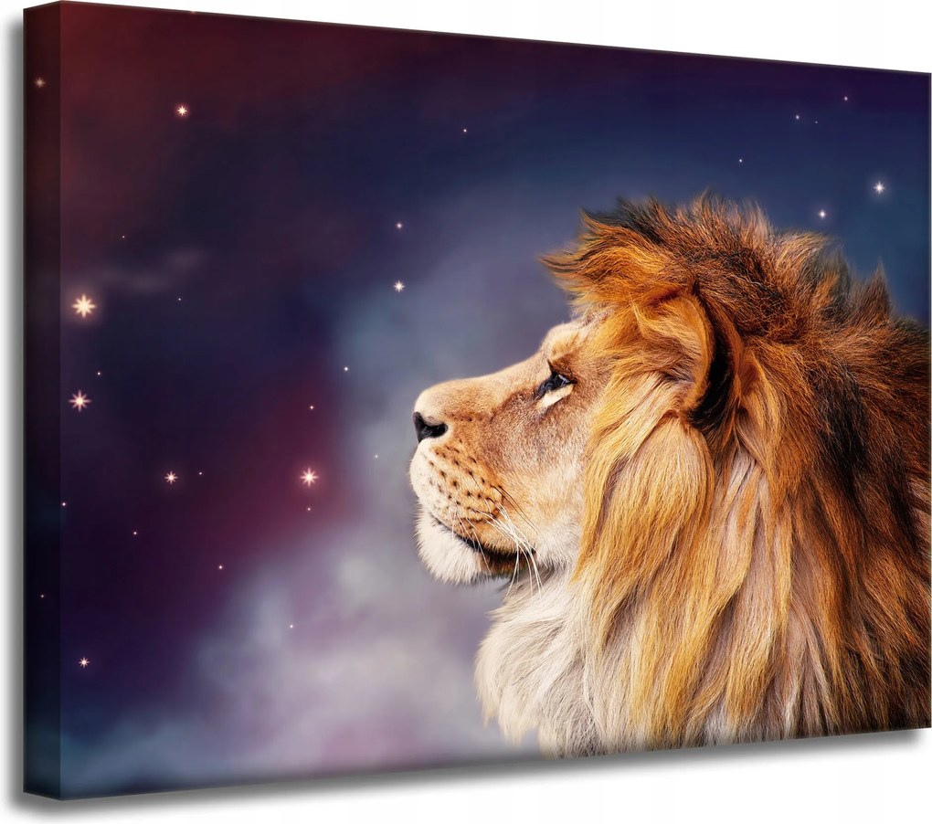 Vászonkép Oroszlán arca a csillagok között 40x30 cm Ideális ajándék