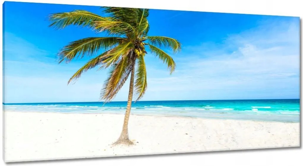 Vászonkép 115x55 Trópusok Tájkép Pálma