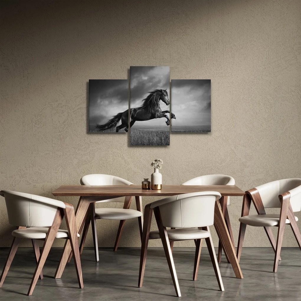 Kép - Fekete-fehér ló (90x60 cm)