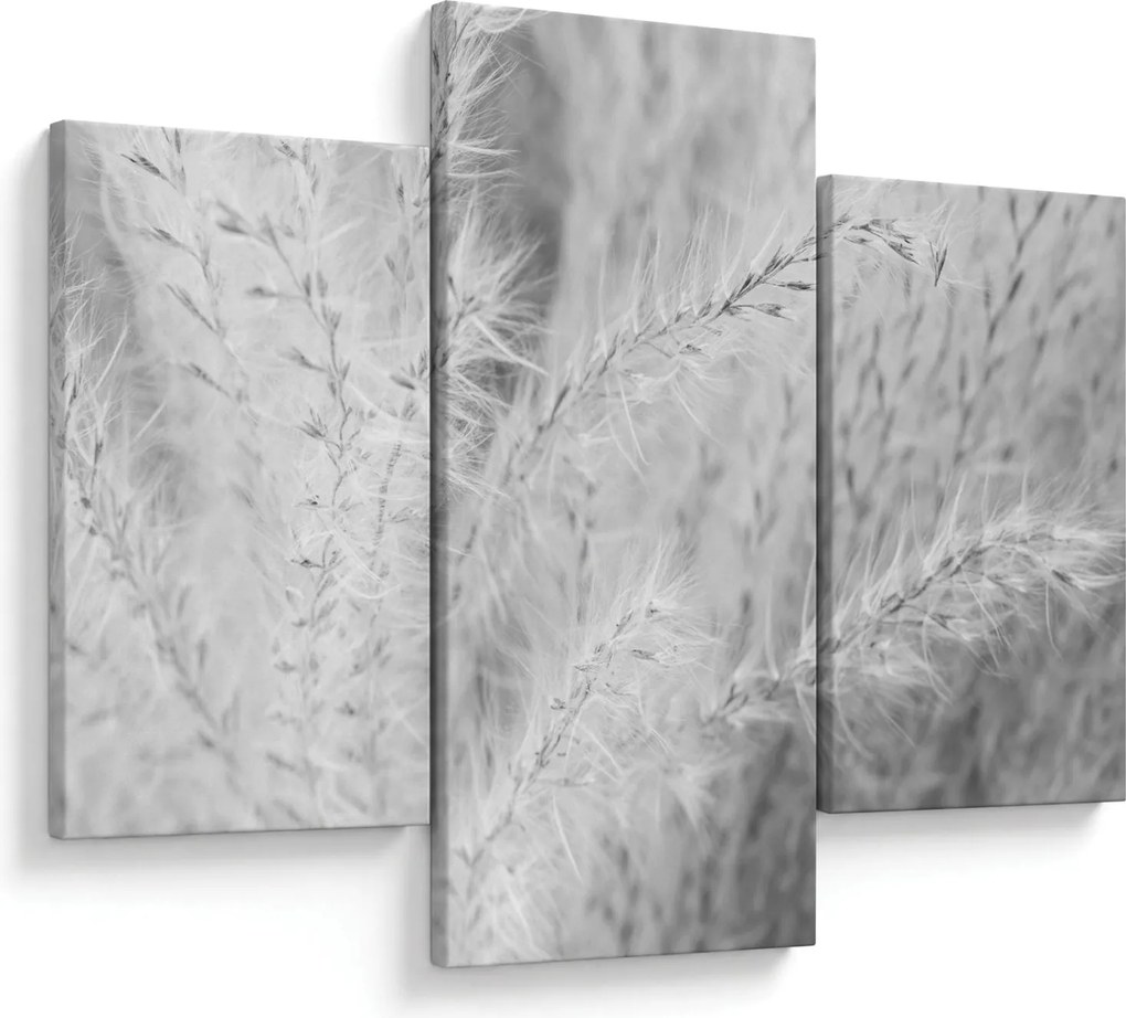Kép - Pampafű N⁰1 (90x60 cm)