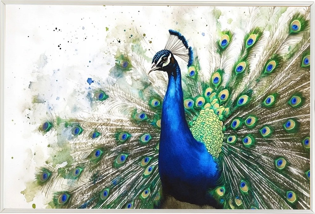 Poszter Alumínium Keret Akvarell Természet Portré Madár Páva Elegancia 60x40
