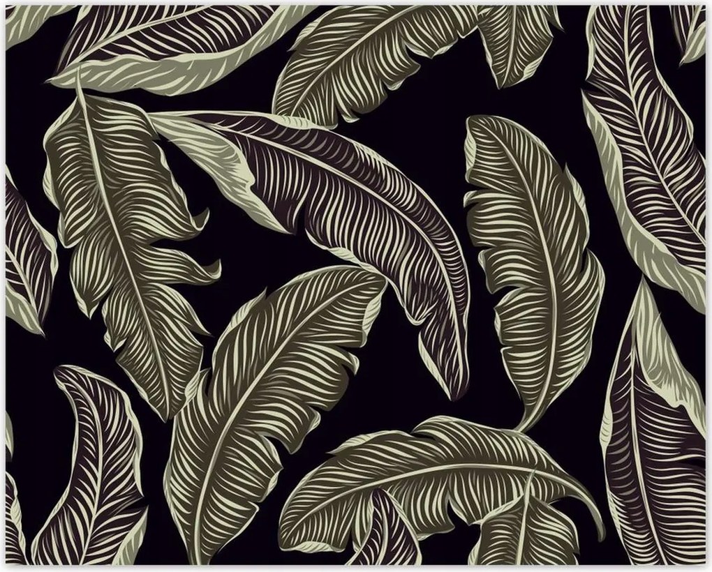 Poszterek 50x40 Trópusi levelek Levelek