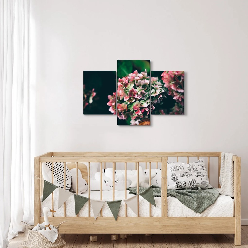Kép - Hortenzia részlete (90x60 cm)
