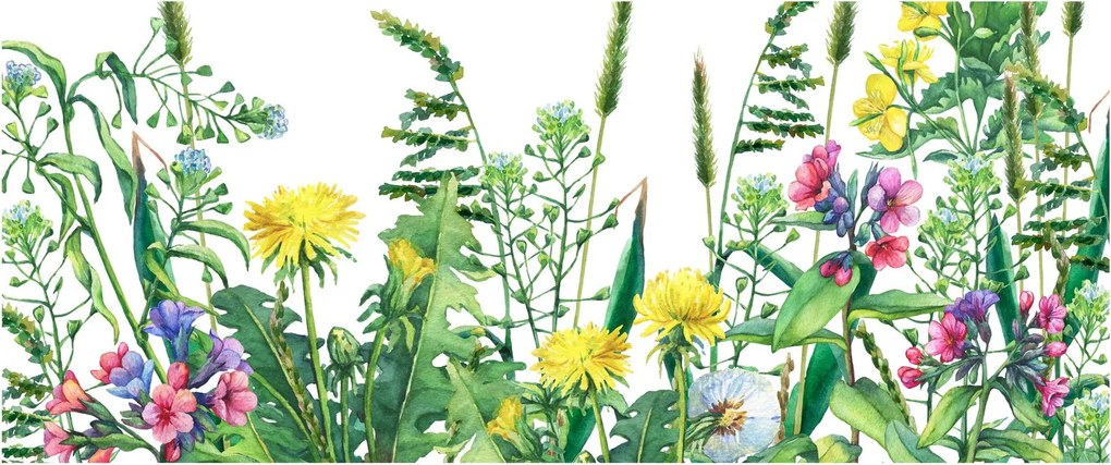 Kép - Festett réti virágok (120x50 cm)
