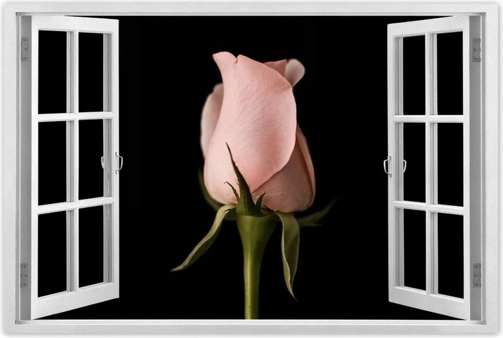 Poszterek 120x80 Púderrózsaszín rózsa Virág