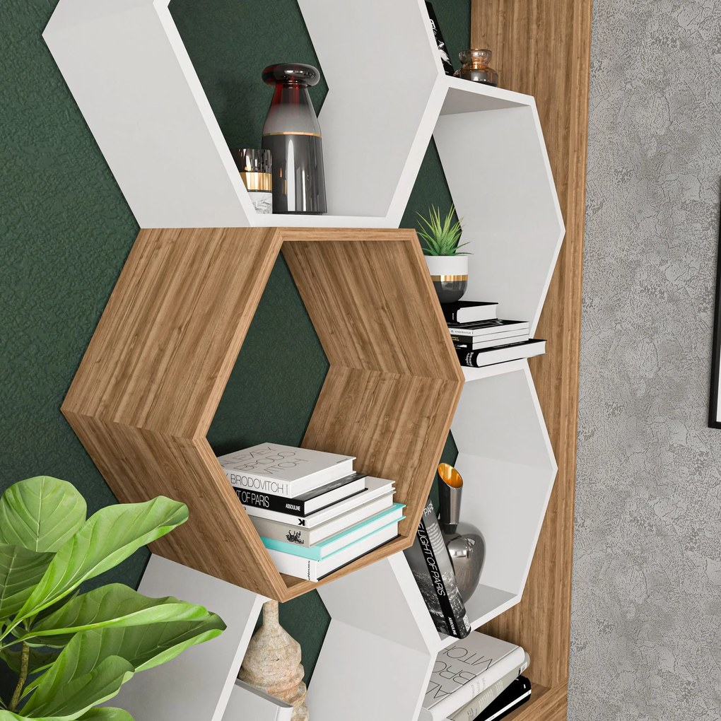 könyvespolc Artemis - Walnut, White