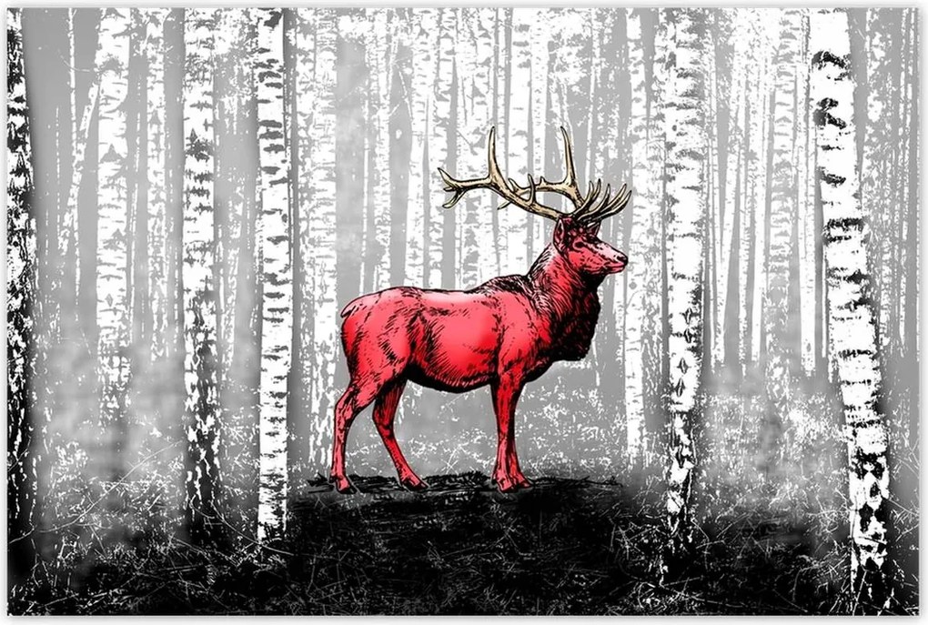 Poszterek 120x80 Szarvas Nyírfa Erdő