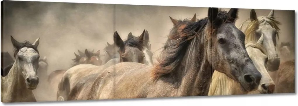 Vászonkép 60x20 Vadlovak Lovak Galopp
