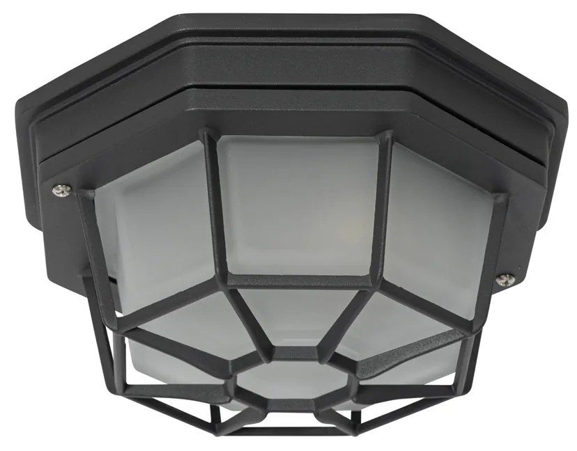 Rusztikus mennyezeti lámpa sötétszürke 21,3 cm IP44 - Bri