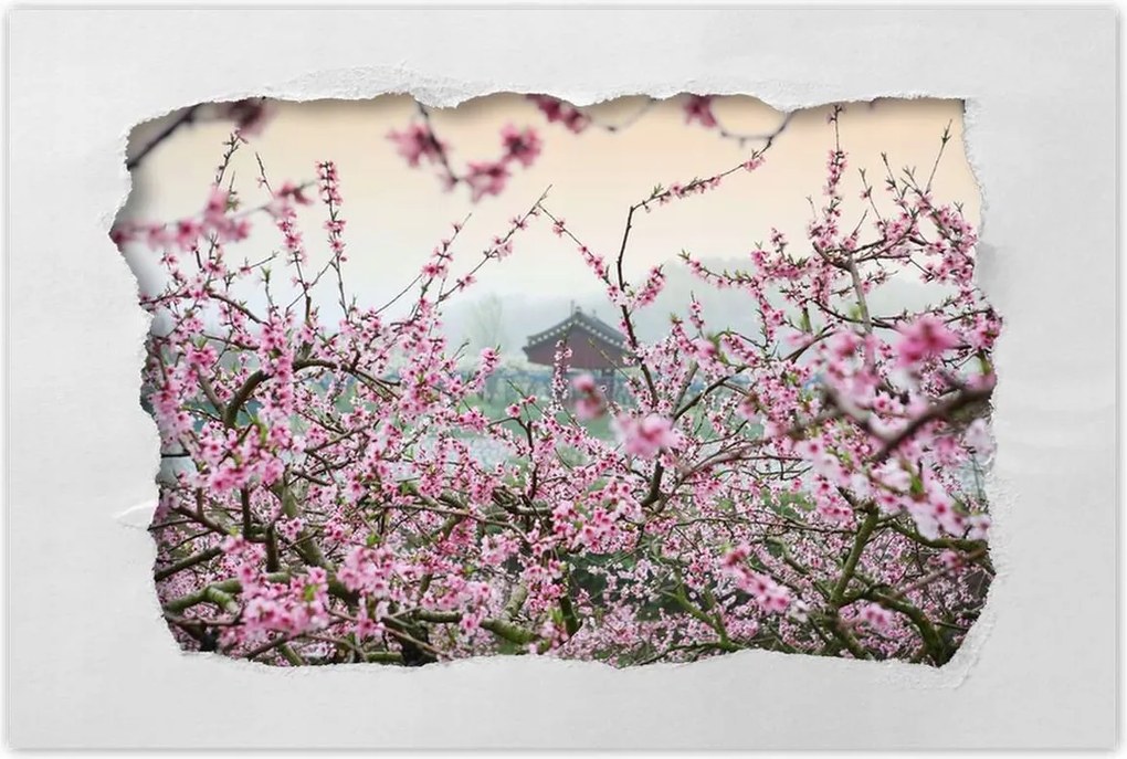 Poszterek 90x60 Japán Orient Buddhizmus