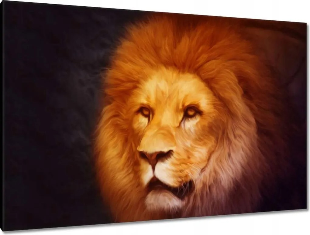 Vászonkép 120x80 Oroszlánkirály