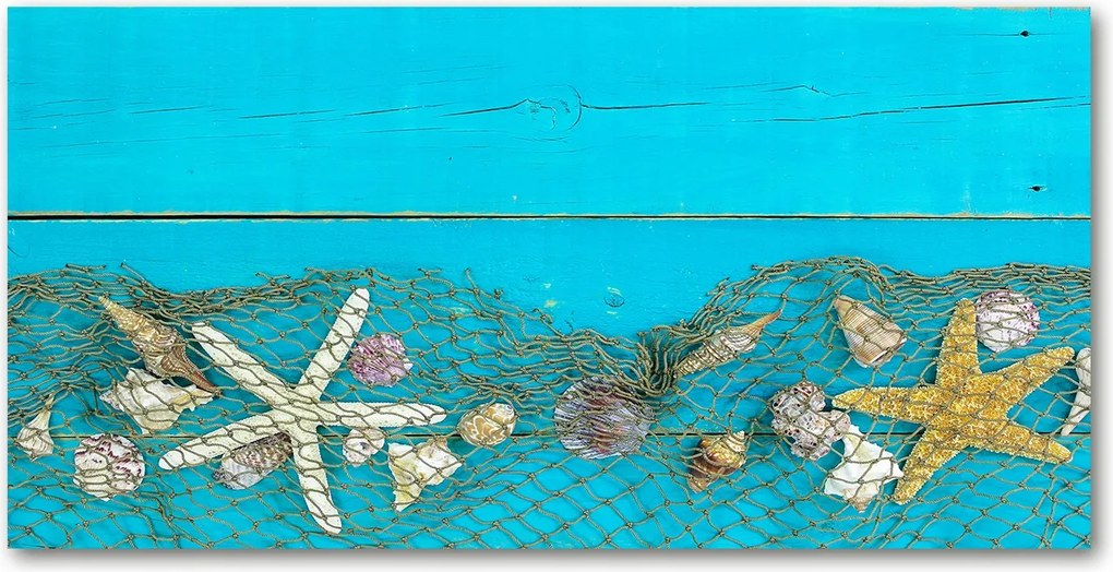 Fotó üvegkép Tengeri csillagok és kagylók 140x70