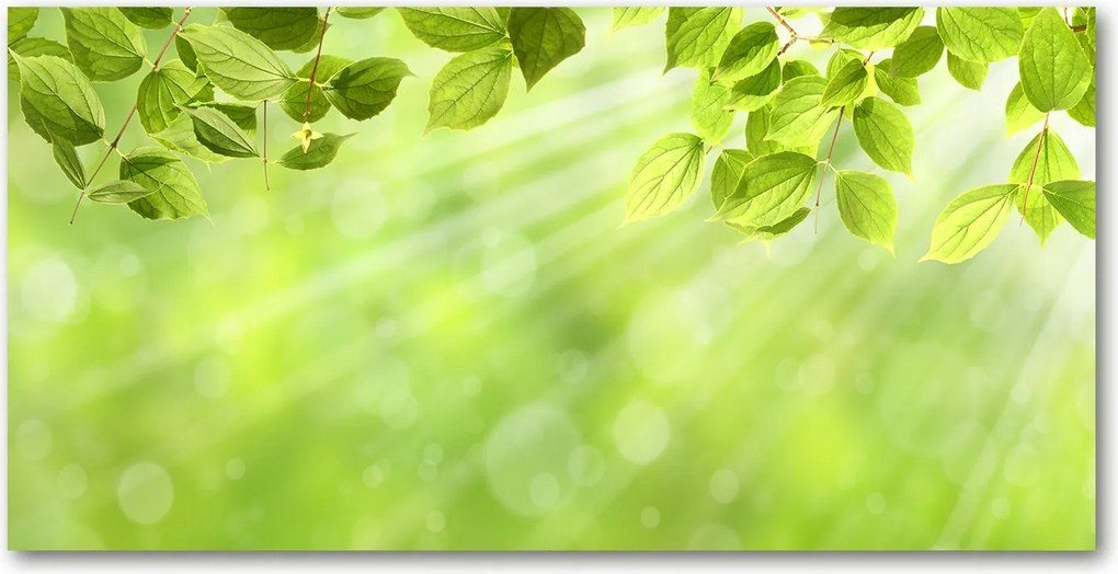 Üvegpanel a konyhába Levelek 140x70 cm Ragasztó