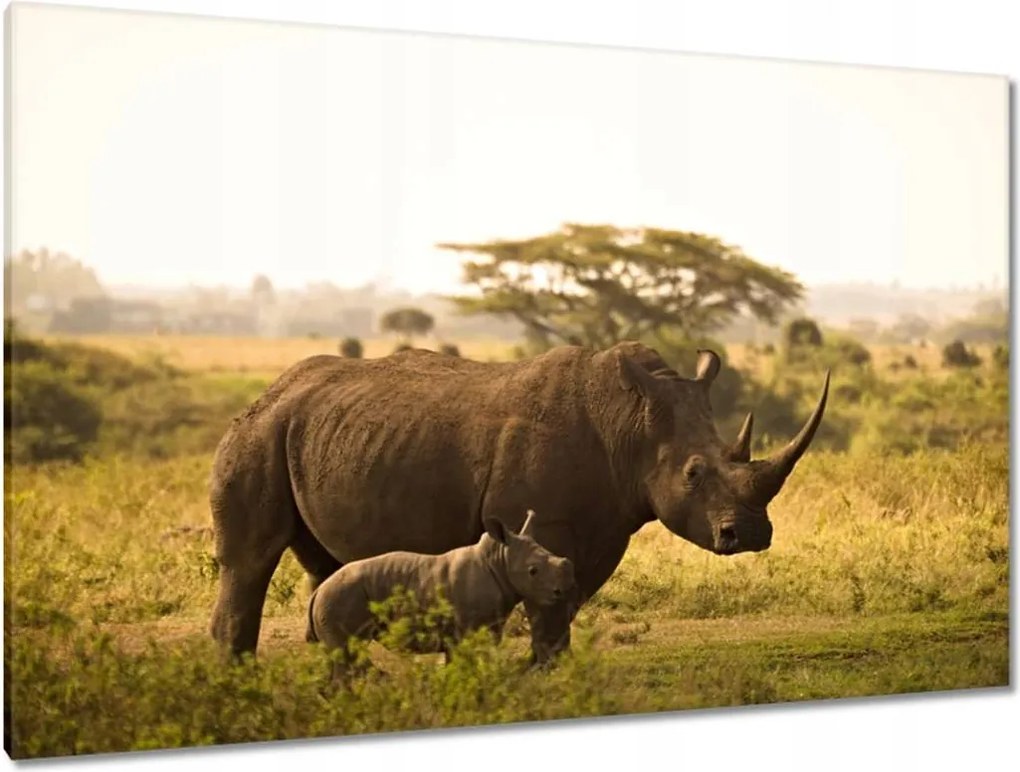 Vászonkép 120x80 Orrszarvú a gyermekkel