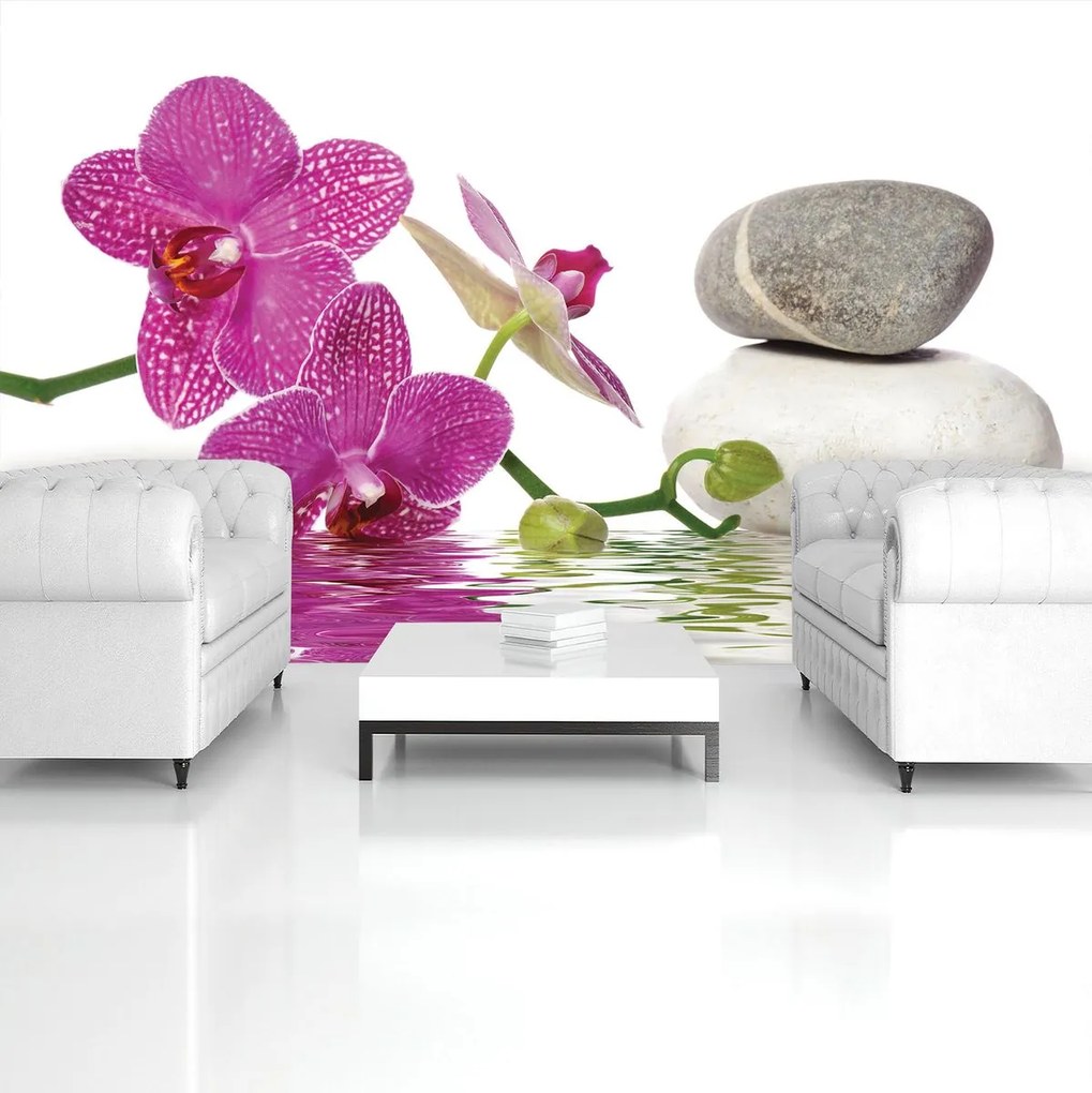 Fotótapéta - Orchideák (152,5x104 cm)