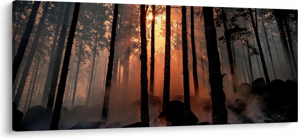 Sötét erdő képe (120x50 cm)